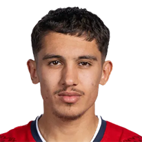 萨赫拉维个人头像