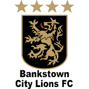 本克斯拓城狮队U20首发队徽